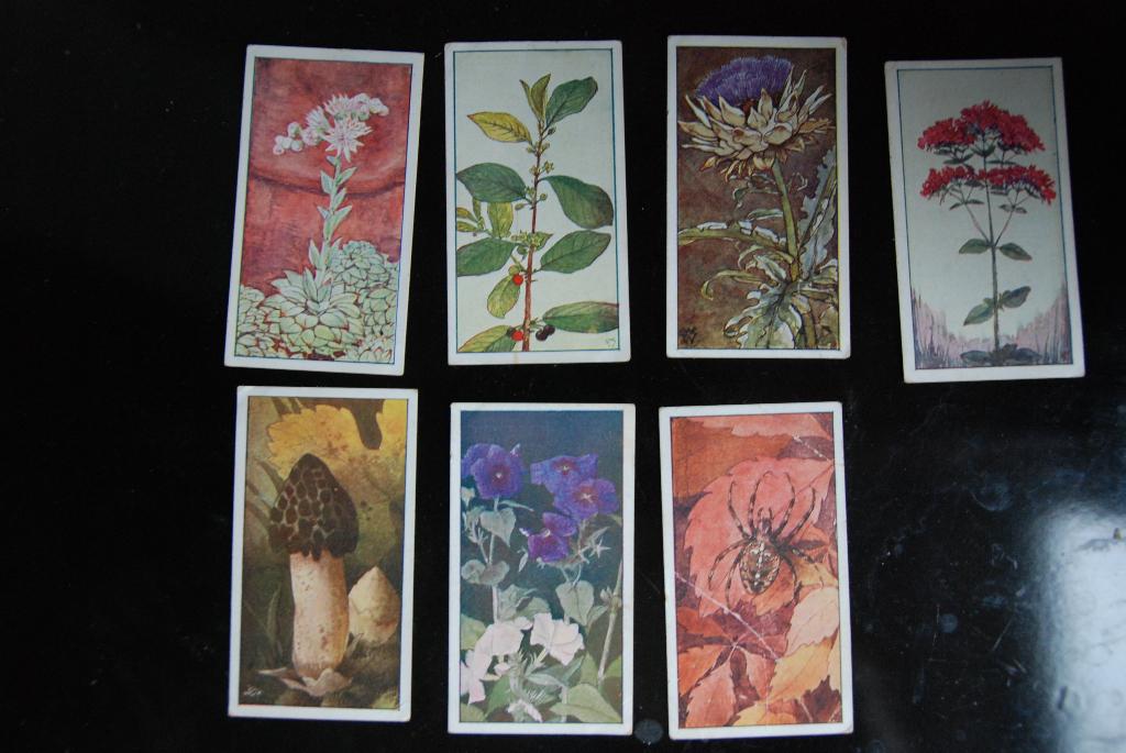 7 Verkade verzamel plaatjes Herfst album 1908 plaatjesalbum, Verzenden, Gelezen
