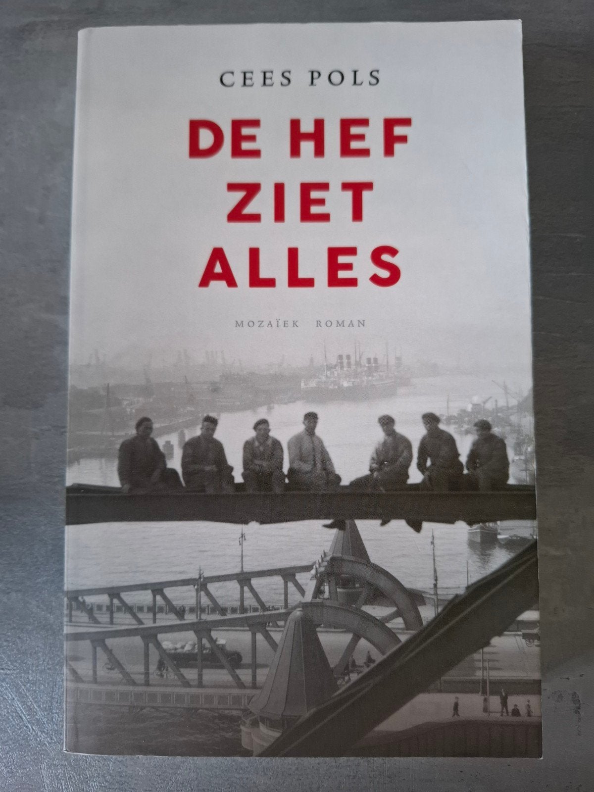 Cees Pols - De hef ziet alles, Ophalen of Verzenden, Zo goed als nieuw, Cees Pols
