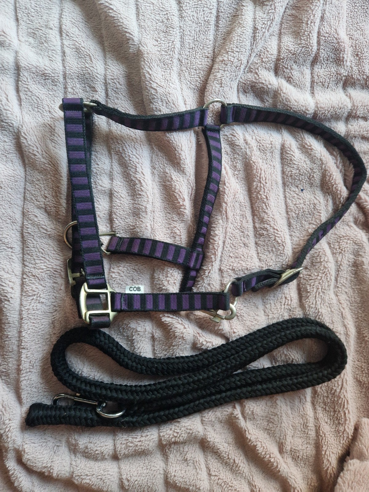 leuk paars met zwart halster met zwart touw . maat cob, Ophalen of Verzenden, Zo goed als nieuw, Eventing