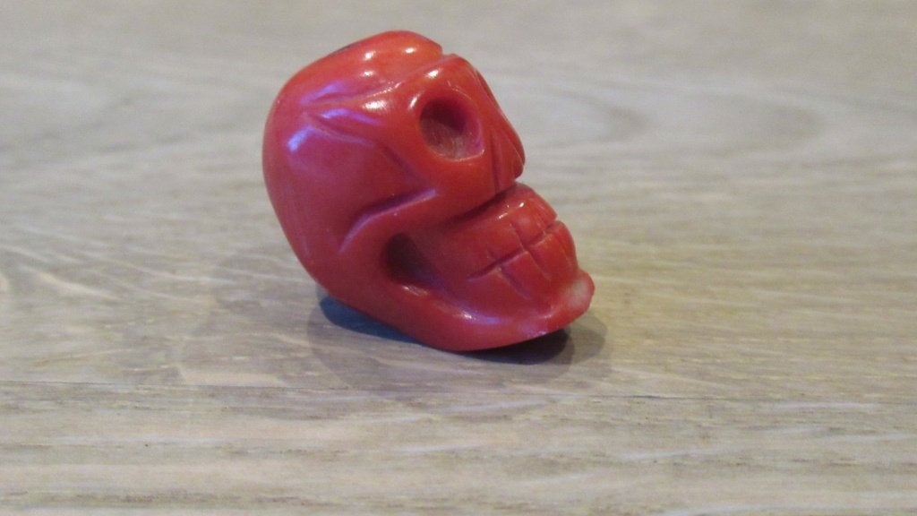 bloedkoraal skul kraal / afm  2.5 cm x 2 cm met doorboring, Ophalen of Verzenden, Overige materialen, Overige typen