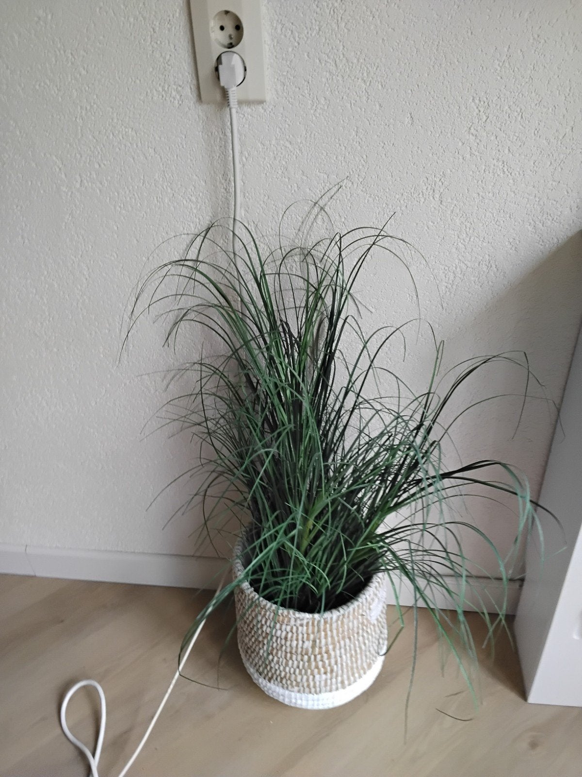 kunstbloemen en takken, Ophalen