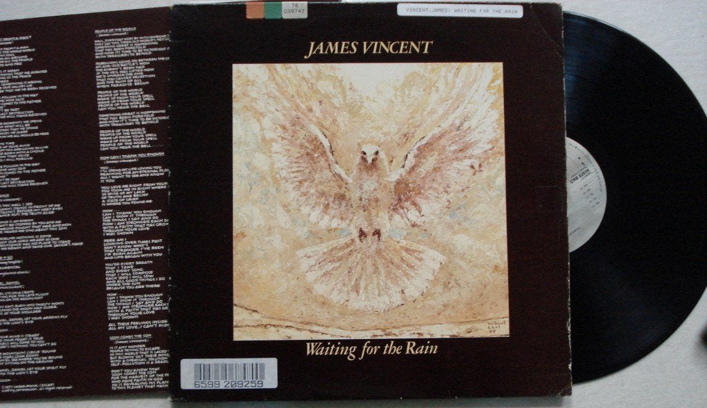 James Vincent - Waiting for the rain, Inclusief binnenhoes, Ophalen of Verzenden, Gebruikt, 12 inch