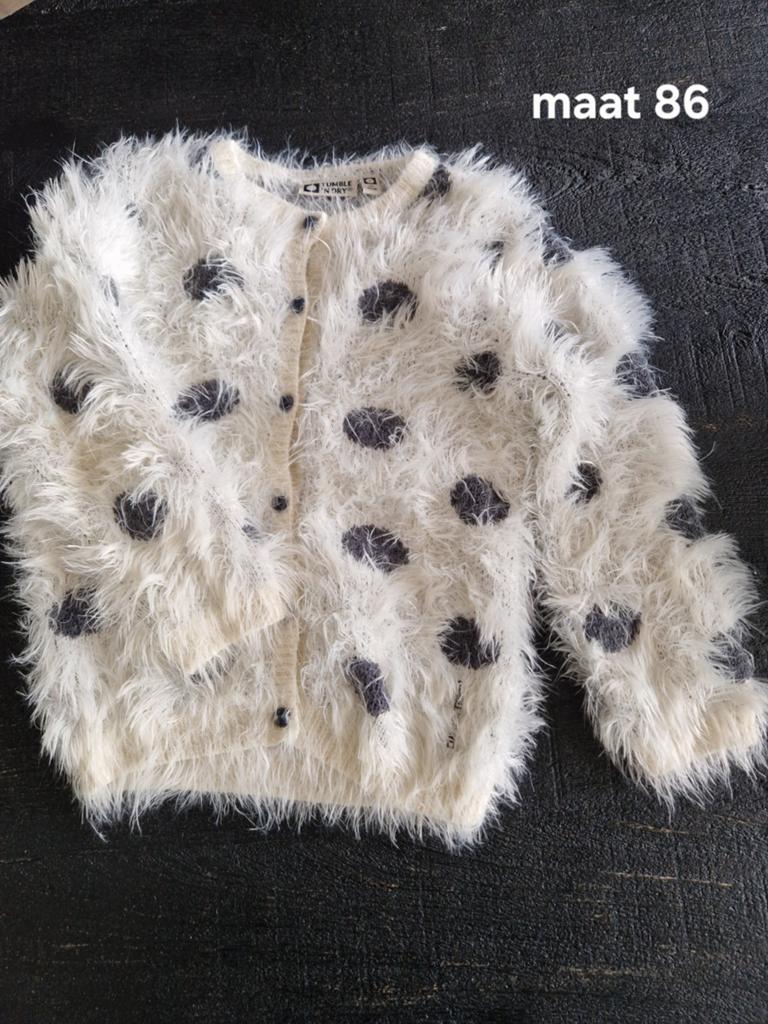 Fluffy vestje maat 86, Tumble 'n Dry, Ophalen of Verzenden, Zo goed als nieuw, Truitje of Vestje