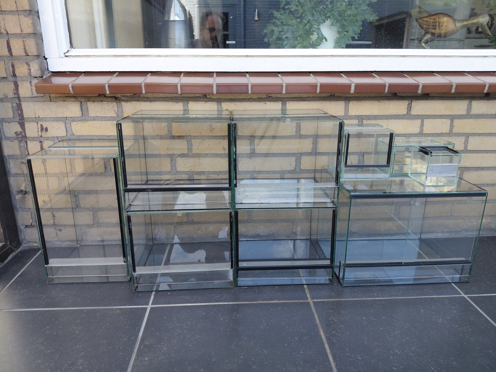 Partij terrarium te koop - Alles in één koop!, Dieren en Toebehoren, Knaagdieren en Konijnen | Hokken en Kooien, Gebruikt, Overige typen