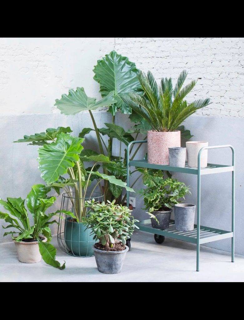 groene trolley voor planten / boeken / .. van het merk serax, Huis en Inrichting, Woonaccessoires | Etagères, Ophalen, Draaibaar