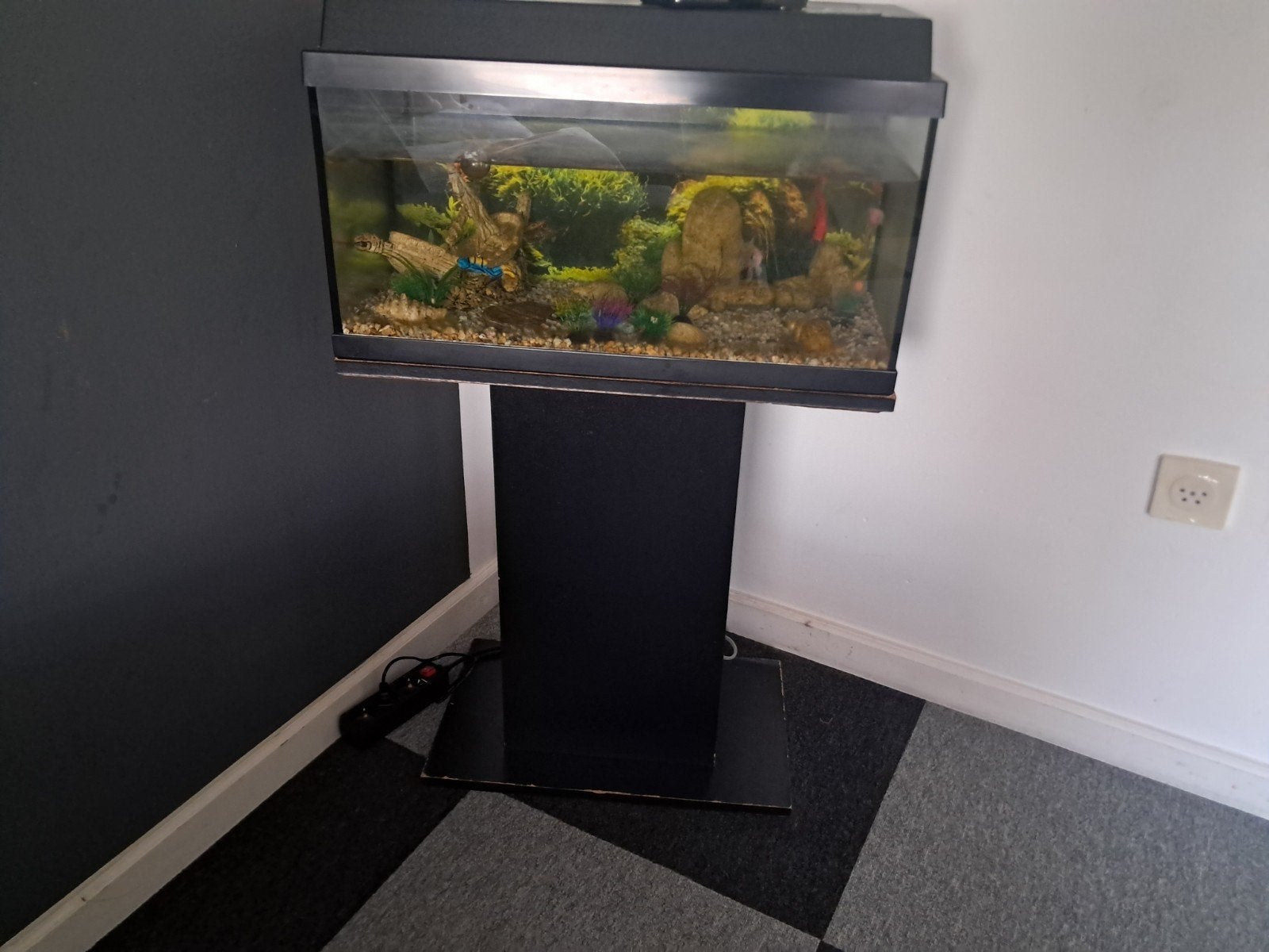 aquarium met vissen, Ophalen of Verzenden, Zo goed als nieuw, Leeg aquarium