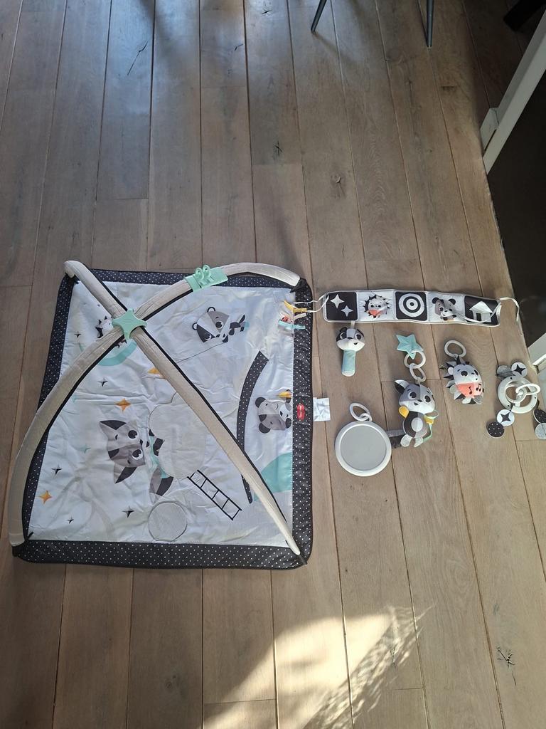 Babygym Tiny Love, Kinderen en Baby's, Speelgoed | Babyspeelgoed, Ophalen, Zo goed als nieuw, Babygym