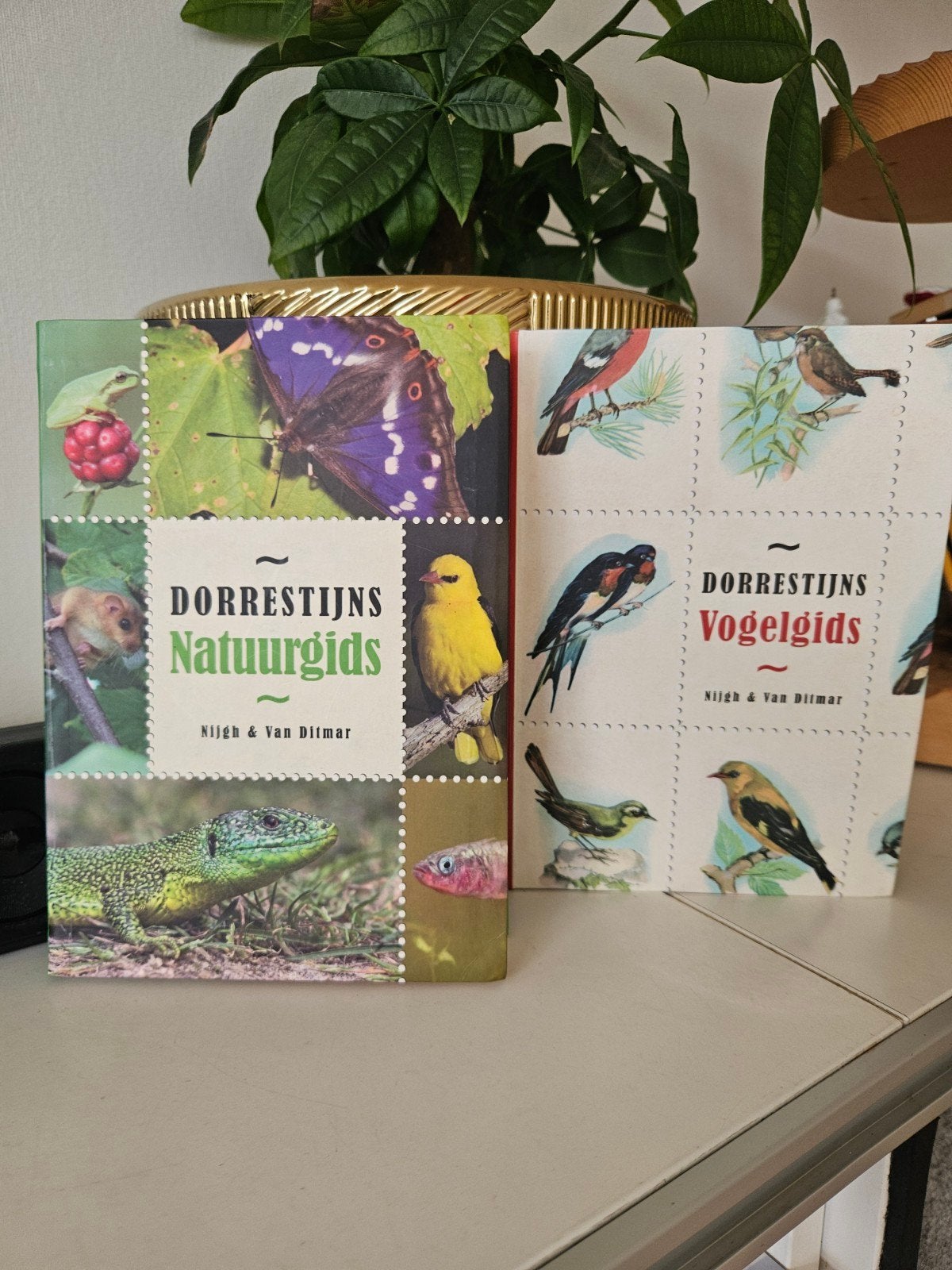 Dorrestijns Natuurgids & Vogelgids - Set van 2 boeken, Boeken, Ophalen of Verzenden, Gelezen, Natuur algemeen, Nijgh & Van Ditmar