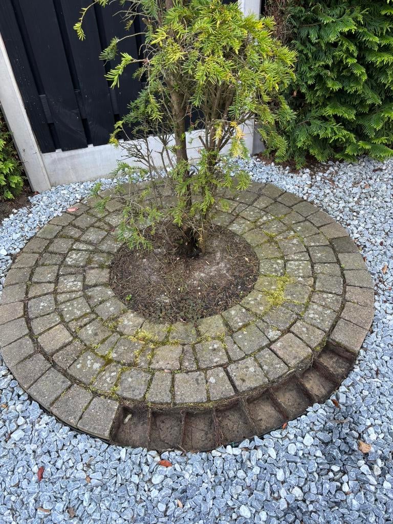 Klinkers Rond  Gratis, Ophalen, Gebruikt, Klinkers, 5 tot 10 m²