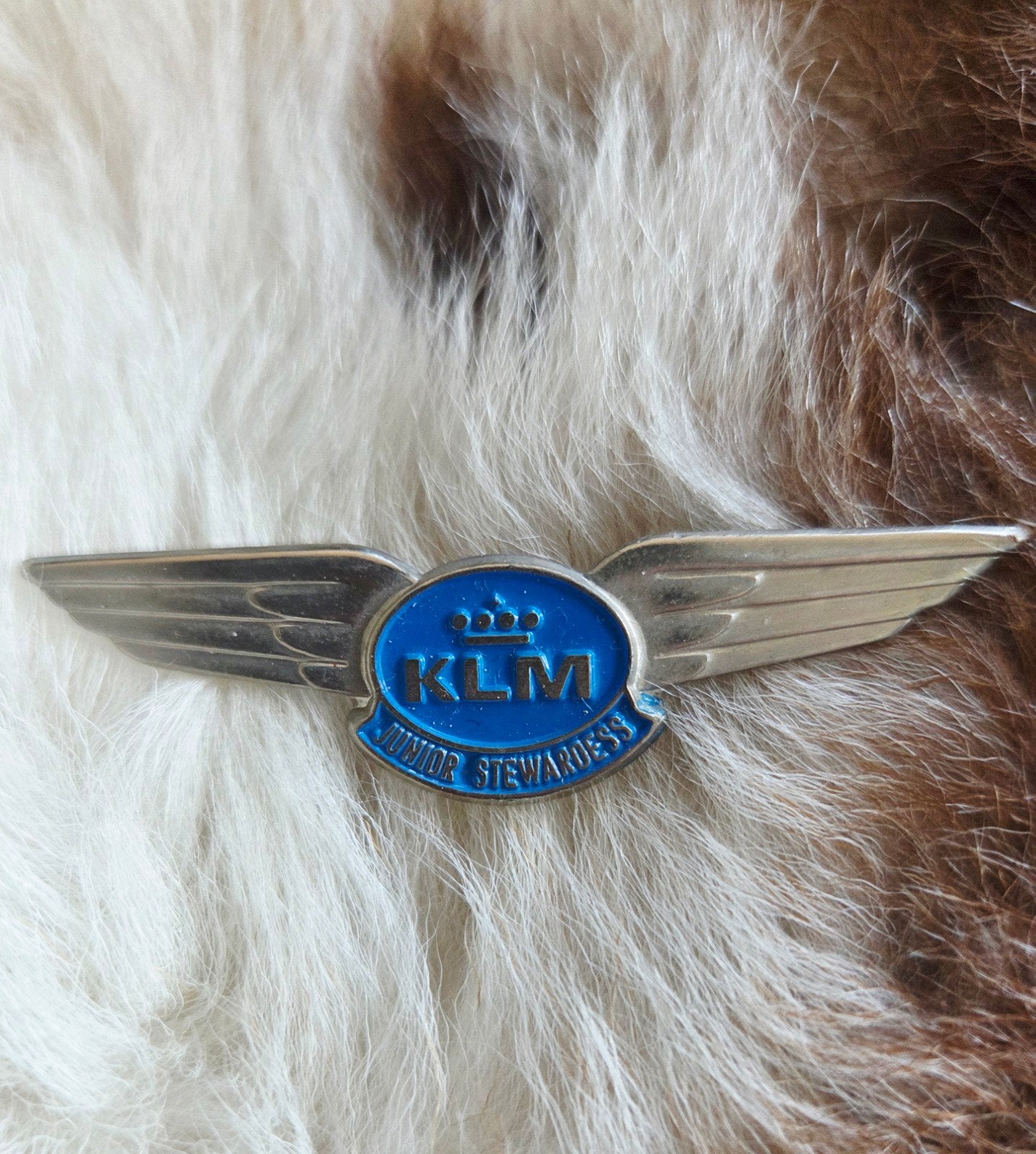 KLM Junior Stewardess Vleugel Speldje - Vintage, Ophalen of Verzenden, Gebruikt, 1 t/m 20