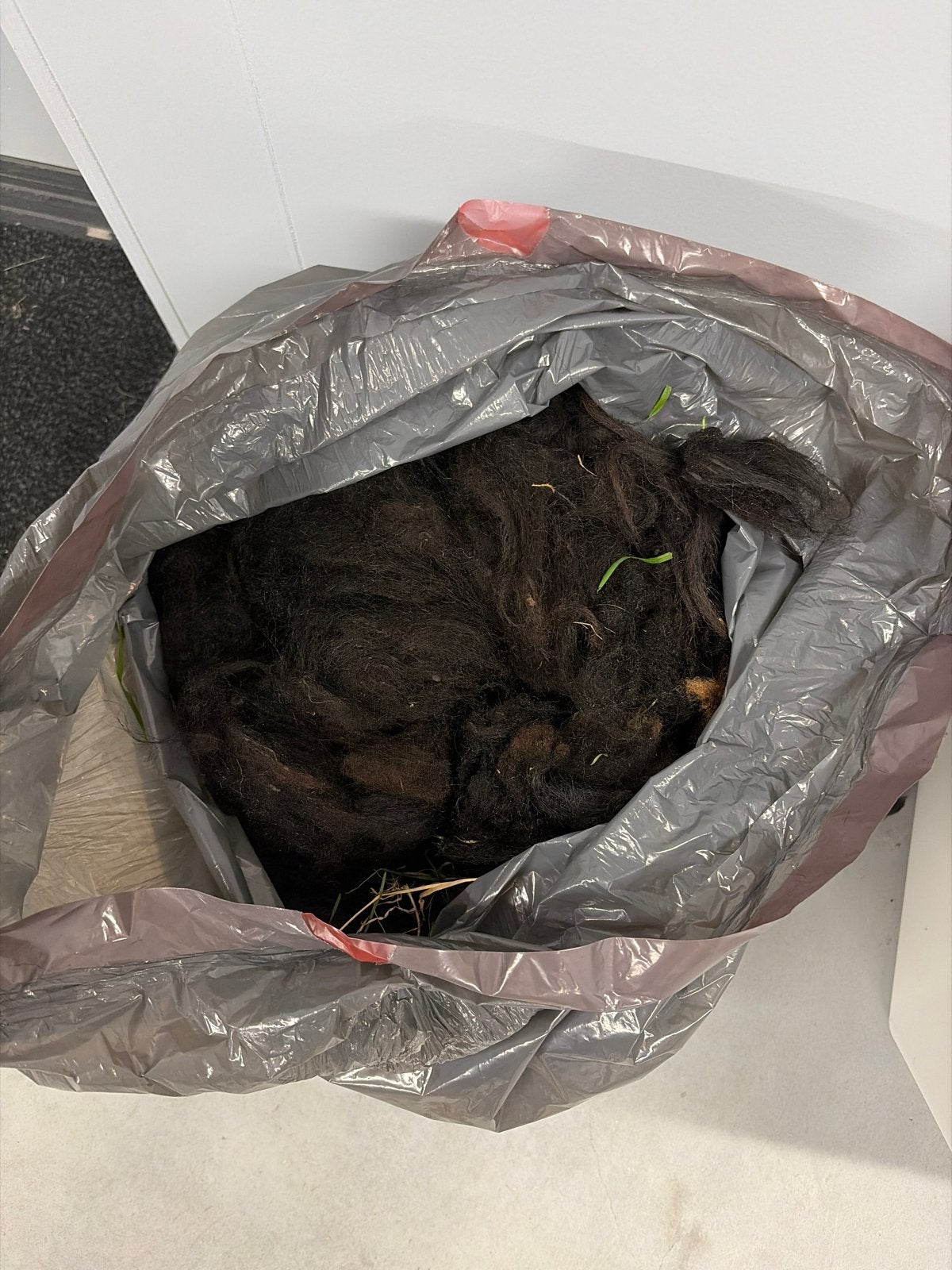 Ongewassen schapenwol, Ophalen, Nieuw, Overige typen, Wolvilt