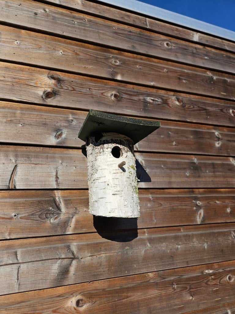 Uniek vogelhuisje van berkenstam, Ophalen of Verzenden, Nieuw