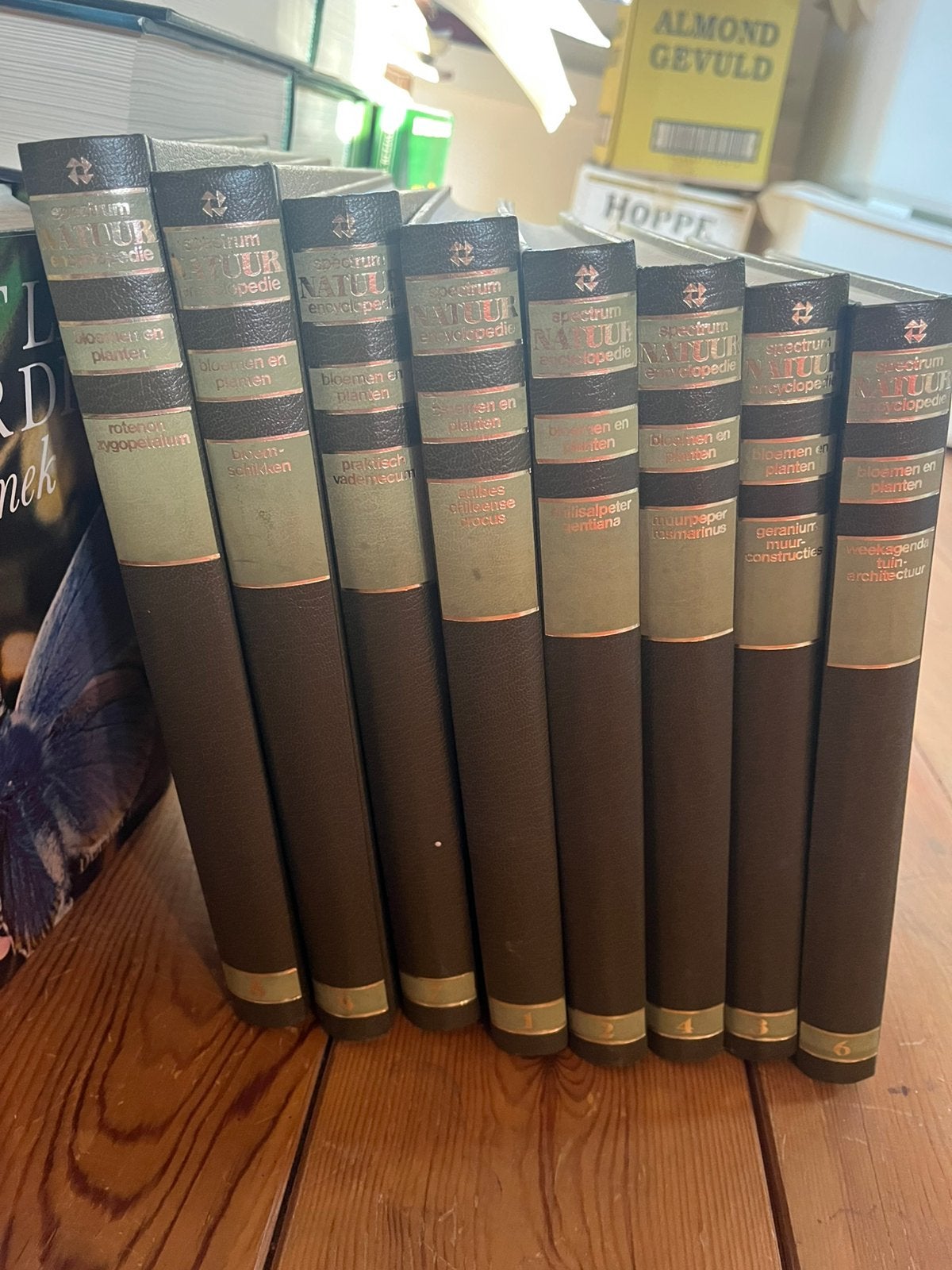 Spectrum natuur encyclopedie “bloemen en planten”, Boeken, Ophalen of Verzenden, Zo goed als nieuw, Bloemen en Planten