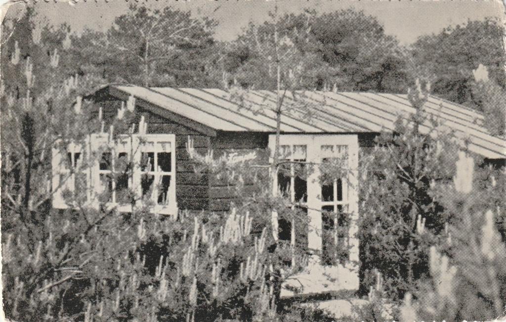 ERMELO Kampeercentrum in de Rimboe, Verzenden, 1960 tot 1980, Gelopen, Gelderland