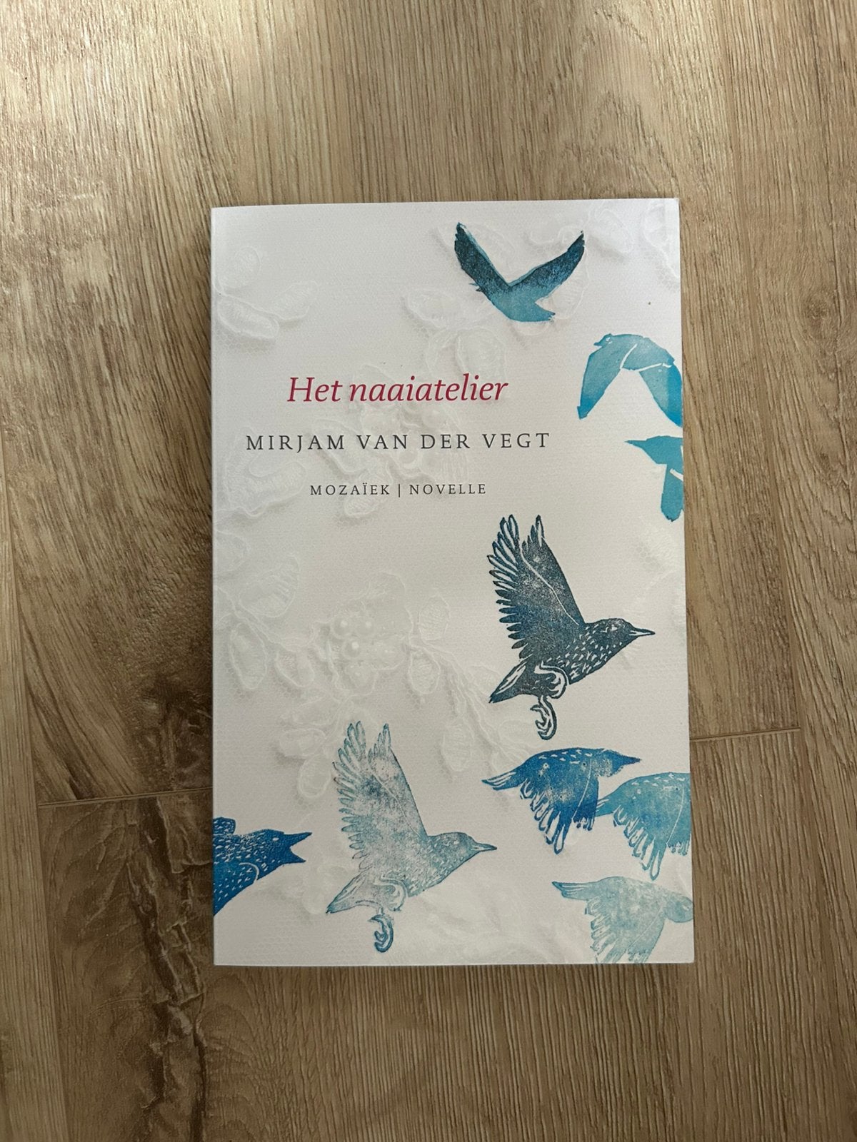 Het naaiatelier van Mirjam van der Vegt, Ophalen of Verzenden, Gelezen
