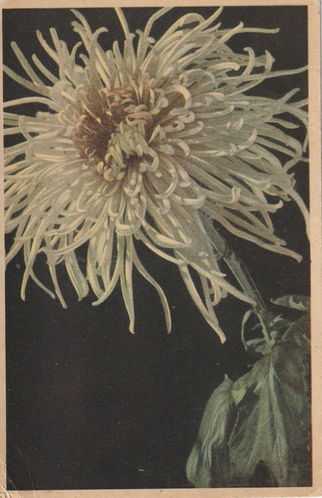 BLOEM VERZ IN DE OORLOG P SMEELE UIT 1944 MOOIE  KAART KN433, Ophalen of Verzenden, 1940 tot 1960, Gelopen, Overige thema's