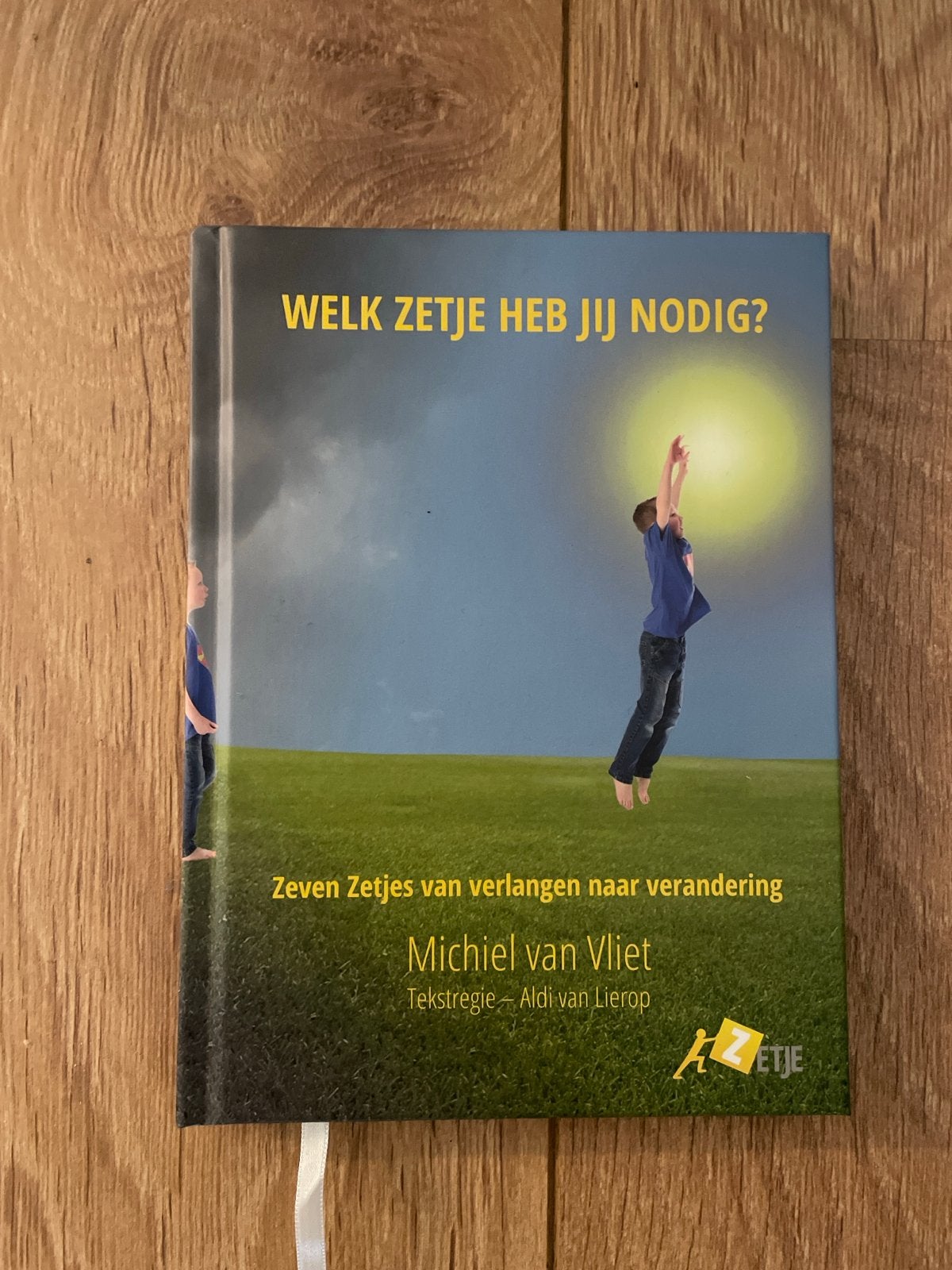 Welk Zetje Heb Jij Nodig? - Michiel van Vliet, Ophalen of Verzenden, Zo goed als nieuw