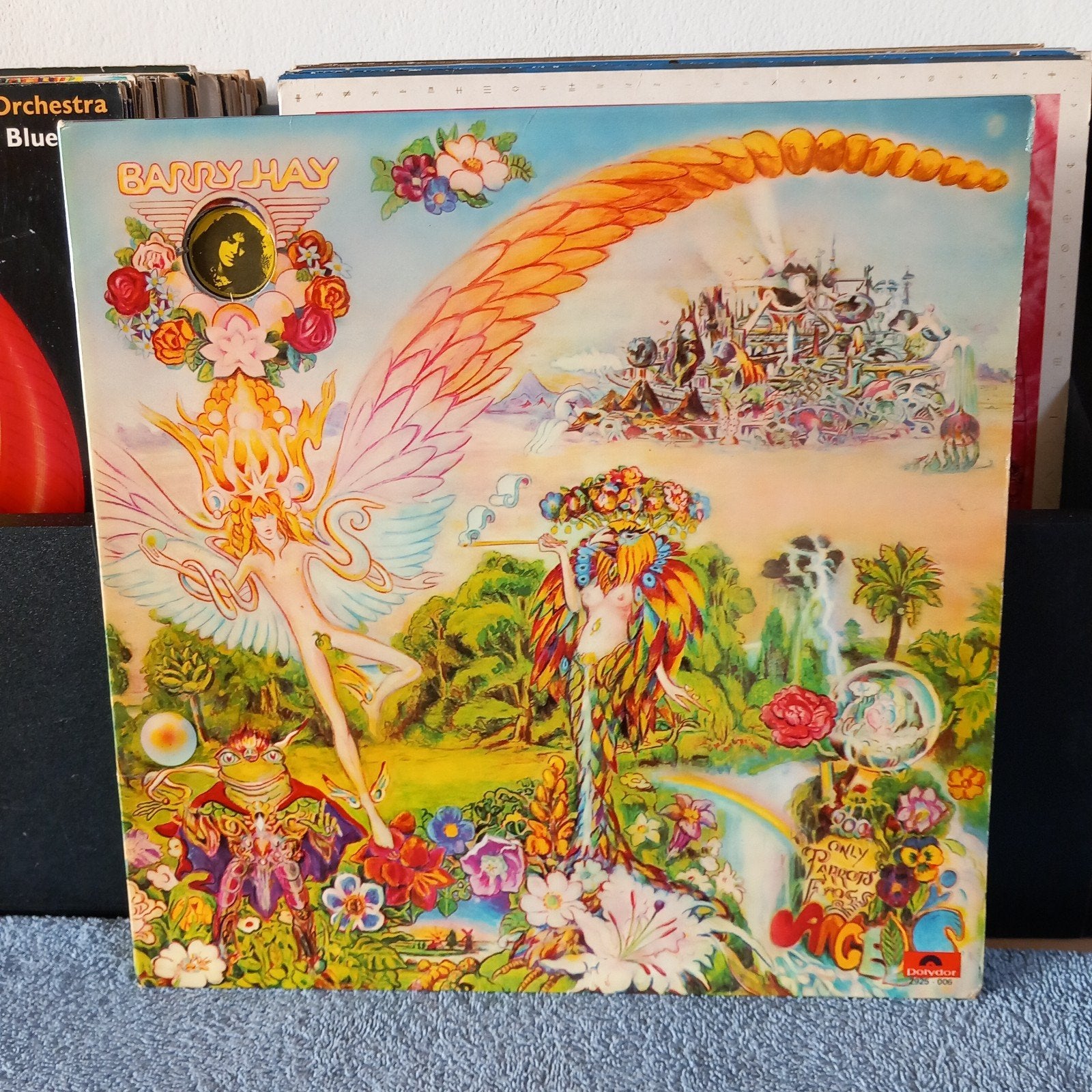 lp Barry hay only parrots ned 1972 no button, Ophalen of Verzenden, Gebruikt, 12 inch