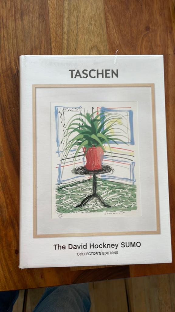 The David Hockney Sumo, Boeken, Kunst en Cultuur | Beeldend, Ophalen of Verzenden, Nieuw, Schilder- en Tekenkunst