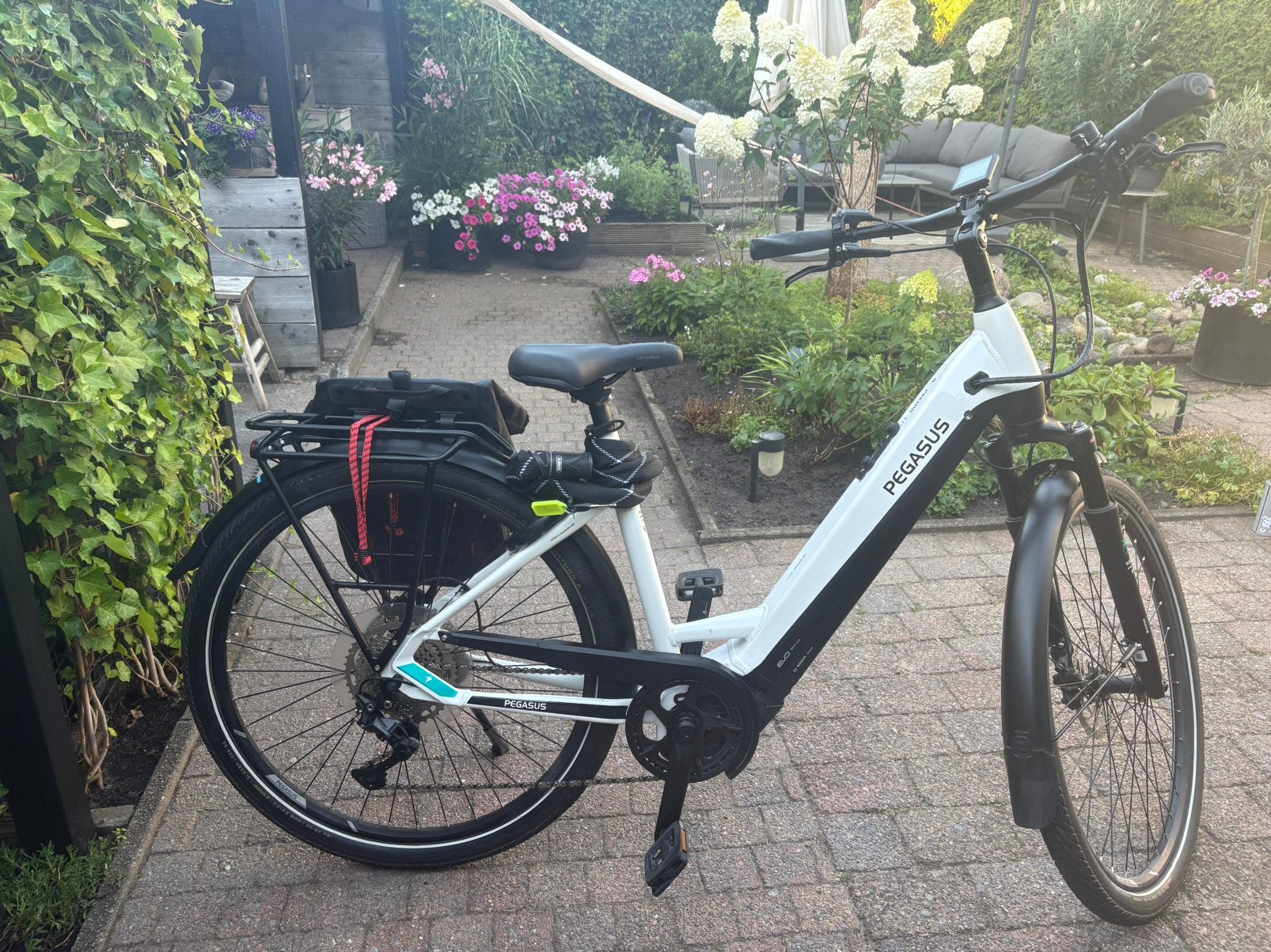 Pegasus Powered, 750 WH ready, Fietsen en Brommers, Elektrische fietsen, Zo goed als nieuw, 51 tot 55 cm, 50 km per accu of meer