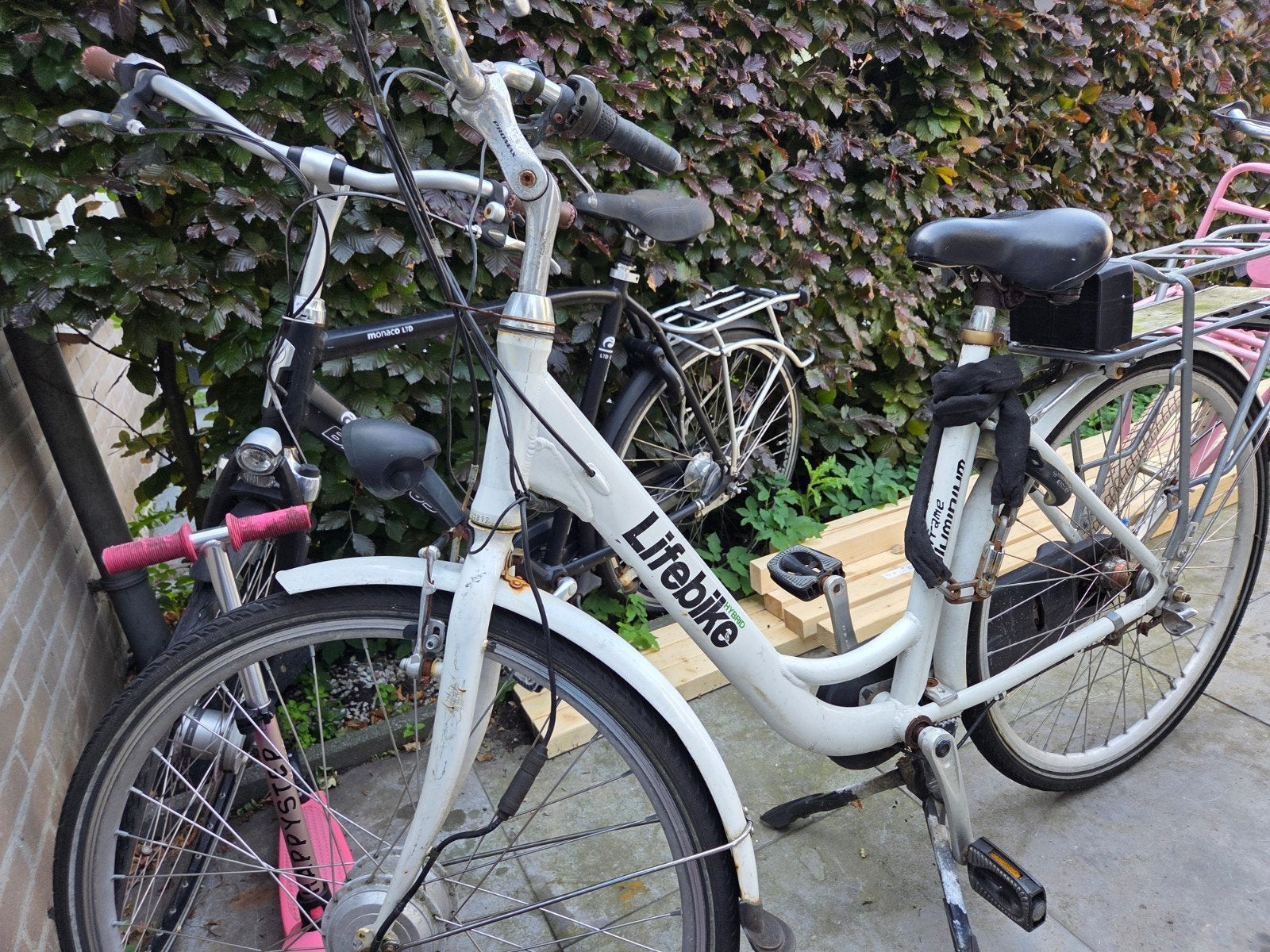 Lifebike Damesfiets - Gebruikt, Ophalen of Verzenden