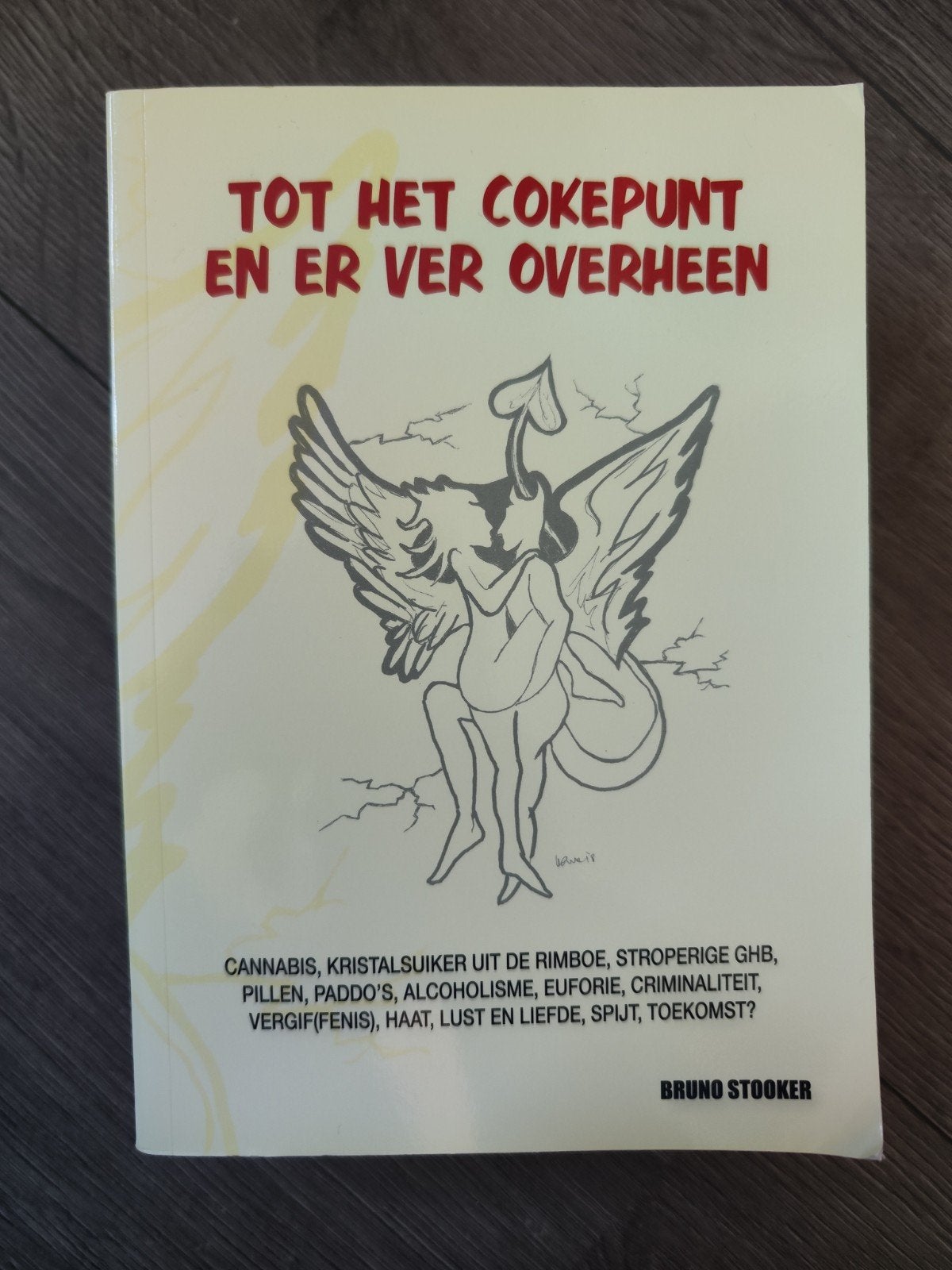 Tot het cokepunt en er ver overheen – Bruno Stooker, Ophalen of Verzenden, Gelezen