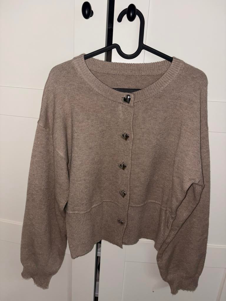 Trui met hartjes knopen, Kleding | Dames, Truien en Vesten, Ophalen of Verzenden, Nieuw, Maat 38/40 (M), Overige kleuren
