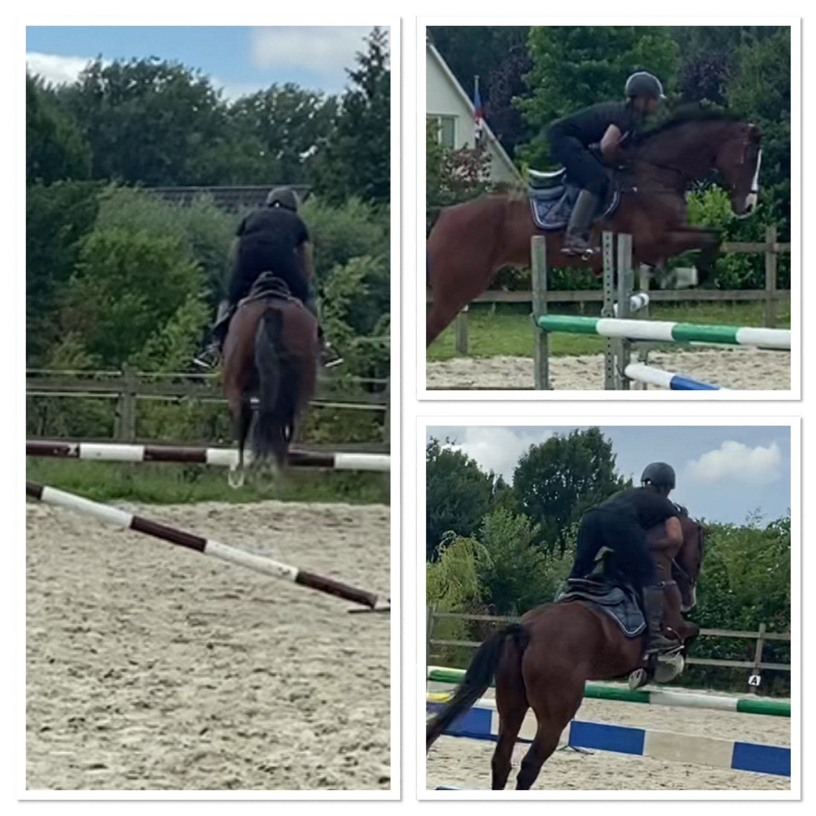 ⭐️⭐️Te koop schoolmaster ⭐️⭐️, Dieren en Toebehoren, Springpaard, Met stamboom, Z, Ruin