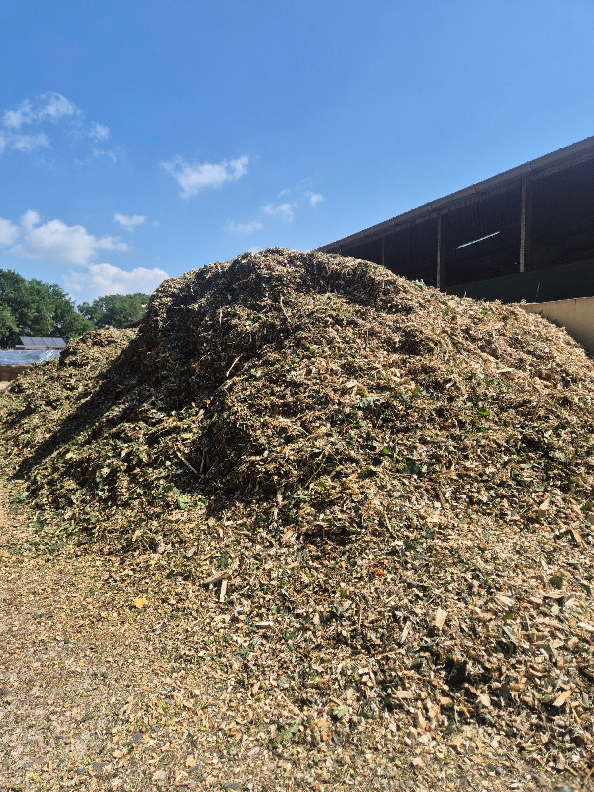 Houtsnippers mix // mulch - verse snippers, 6 m³ of meer, Ophalen of Verzenden, Overige houtsoorten, Takken