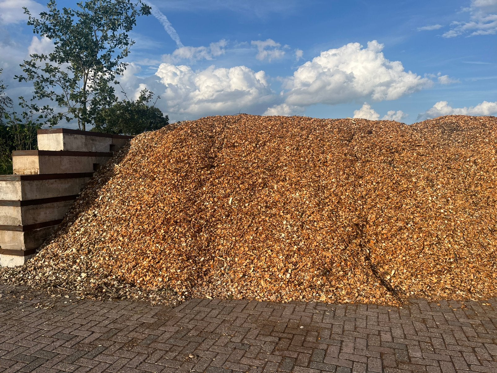 Hout snippers, Ophalen, 1 tot 2 meter, Minder dan 3 meter, Zo goed als nieuw