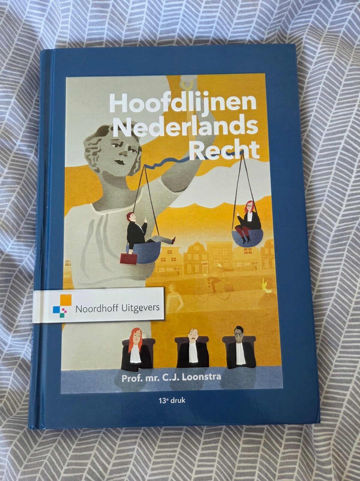 Hoofdlijnen Nederlands Recht - 13e druk, Zo goed als nieuw, Prof. mr. C.J. Loonstra, Gamma, HBO