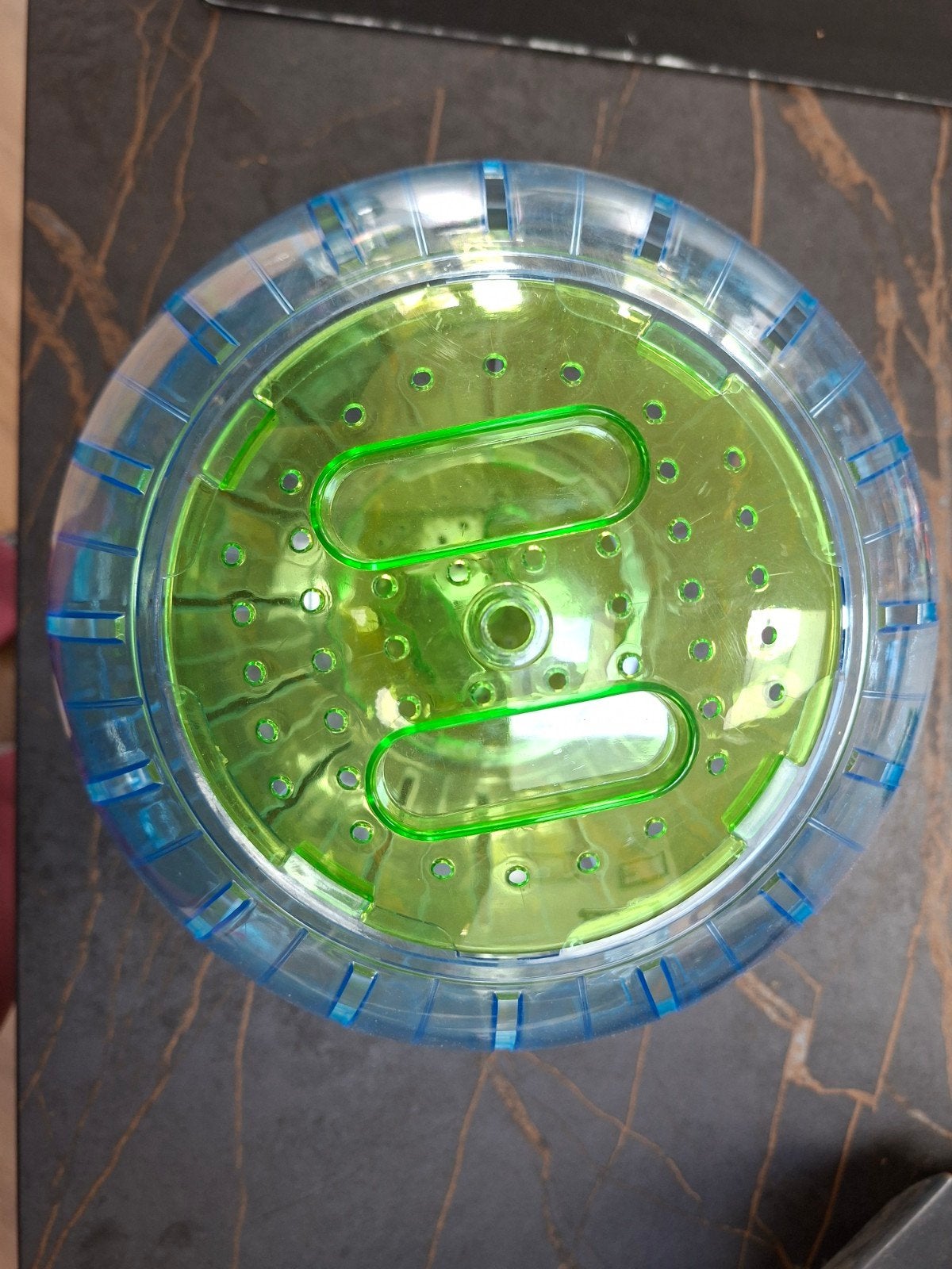 Hamsterbal licht blauw met groen, doorsnede 25 cm, Ophalen of Verzenden, Nieuw, Loopwiel of Rad