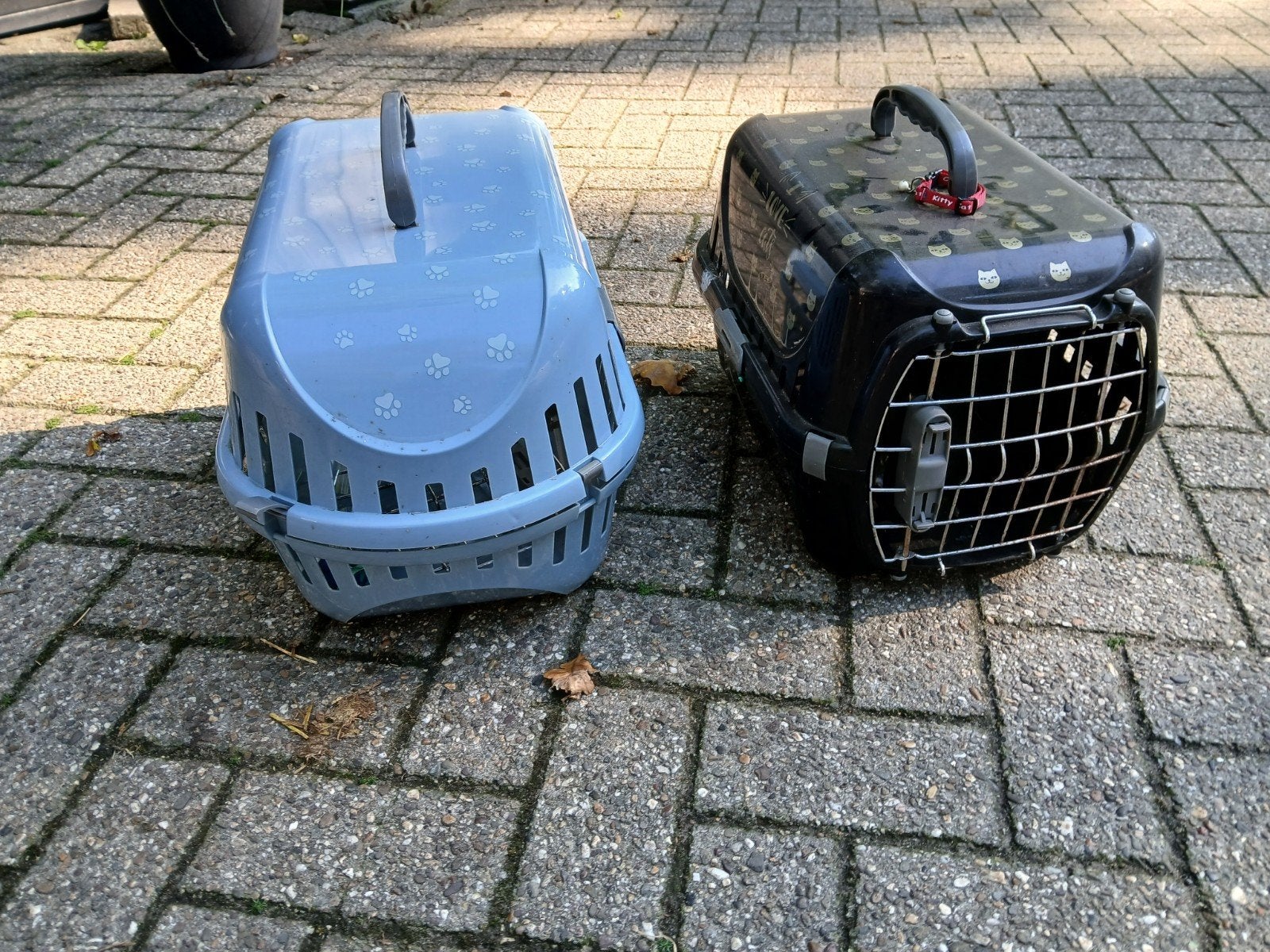 poezen vervoer mand, Dieren en Toebehoren, Ophalen
