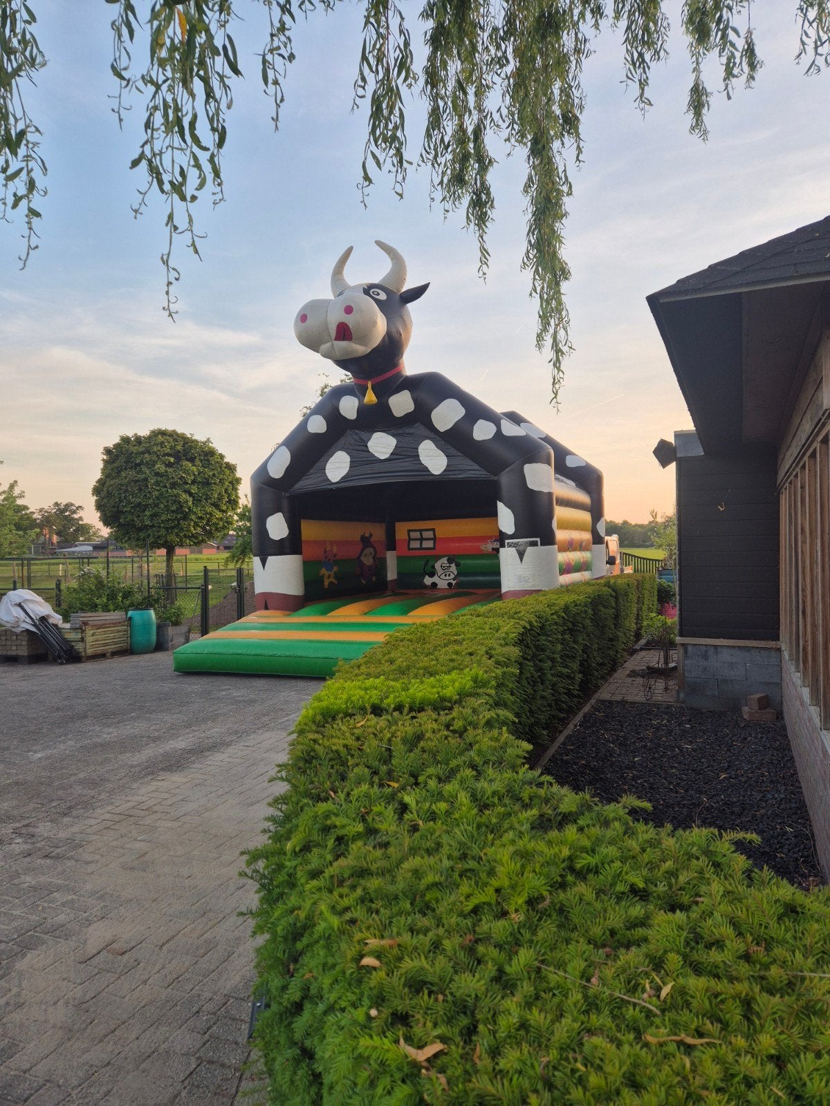 Te Huur Springkussen Koe - 5,5x7m, 6m hoog incl. blower, Ophalen of Verzenden