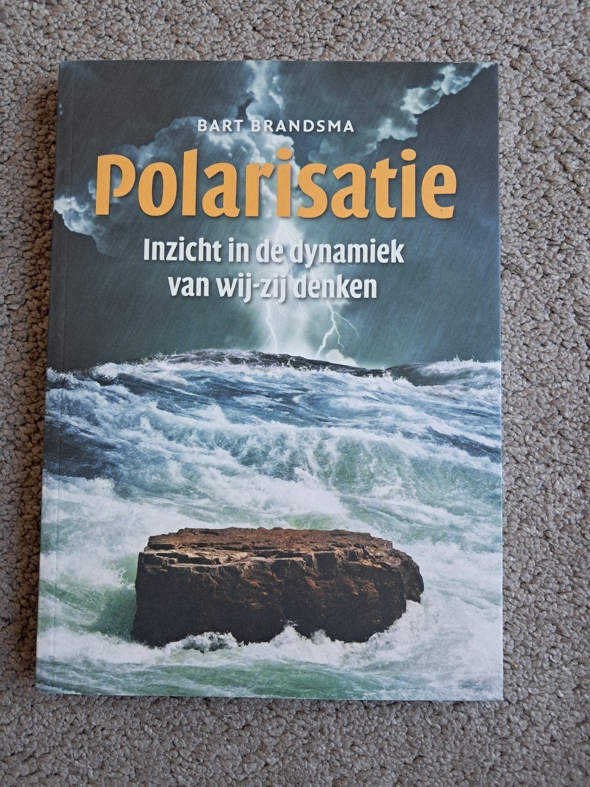 Polarisatie: Inzicht in de dynamiek van wij-zij denken, Bart Brandsma, Nieuw, Ophalen of Verzenden, WO