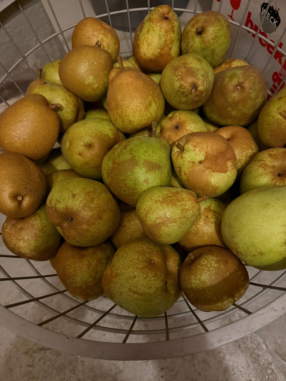 DOYENNE DU COMICE /GIESER WILDEMAN peren en jam te koop, Ophalen