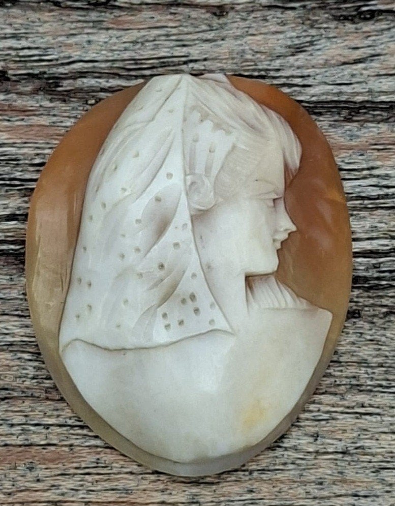 Losse  Camee - Elegante Vrouwenfiguur, Ophalen of Verzenden