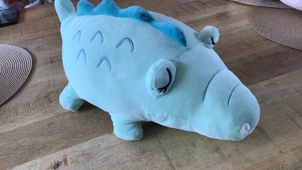 Knuffel Miniso krokodil, Groen, Overige typen, Ophalen of Verzenden, Zo goed als nieuw