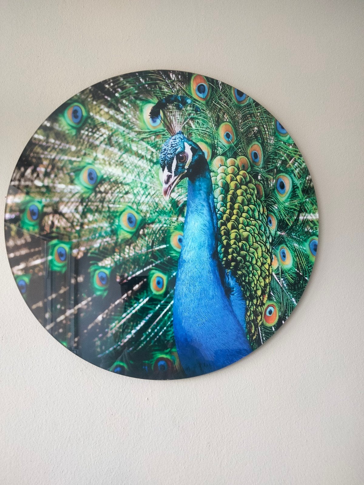 Prachtige Pauw Decoratie op Glas, Huis en Inrichting, Woonaccessoires | Overige, Zo goed als nieuw, Glas, Meerkleurig, Overige stijlen
