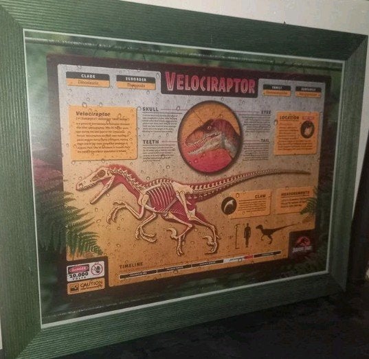 Jurassic park, Ophalen of Verzenden, Zo goed als nieuw, A1 t/m A3, Film en Tv