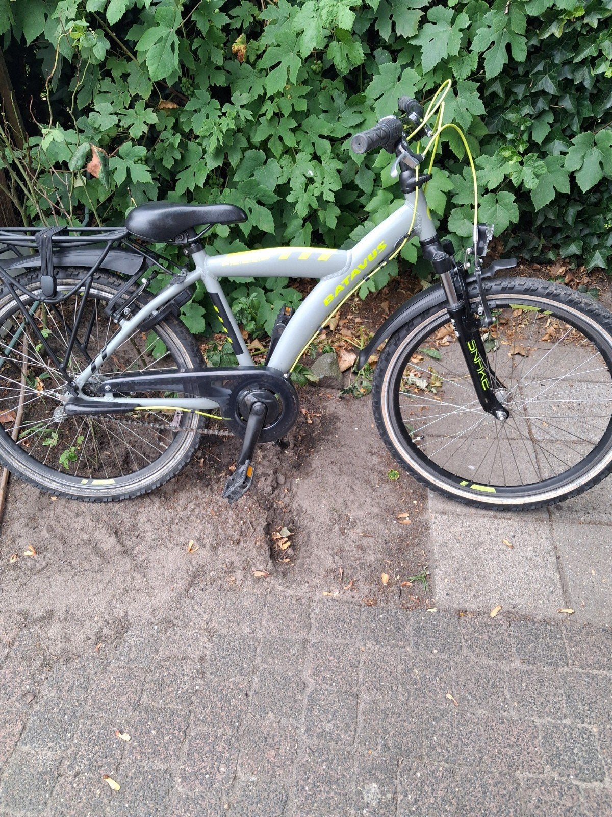 batavus snake 24 inch, Ophalen, Zo goed als nieuw, 24 inch, Versnellingen