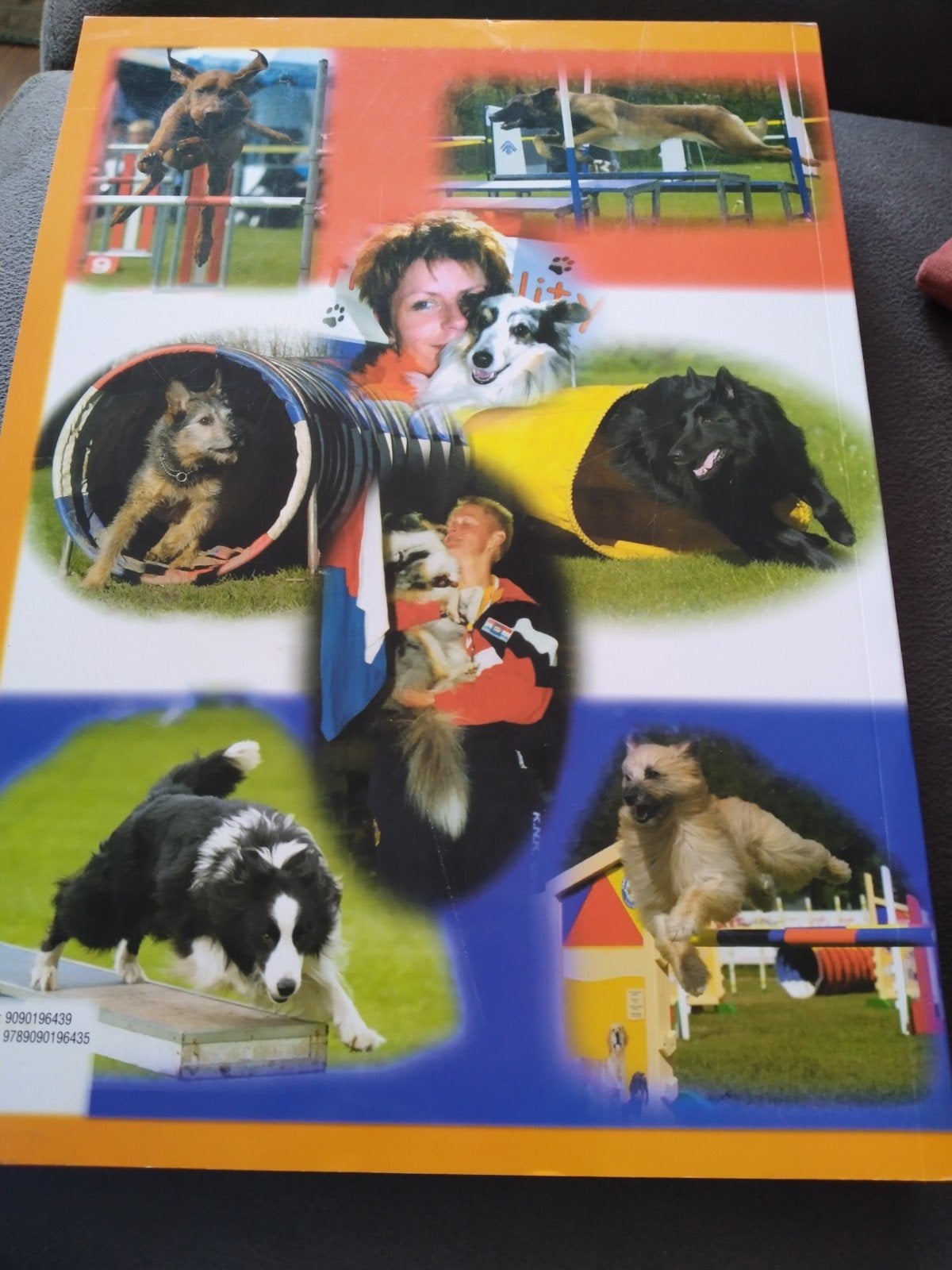 Van Behendigheid tot Agility - Hondenboek, Ophalen of Verzenden