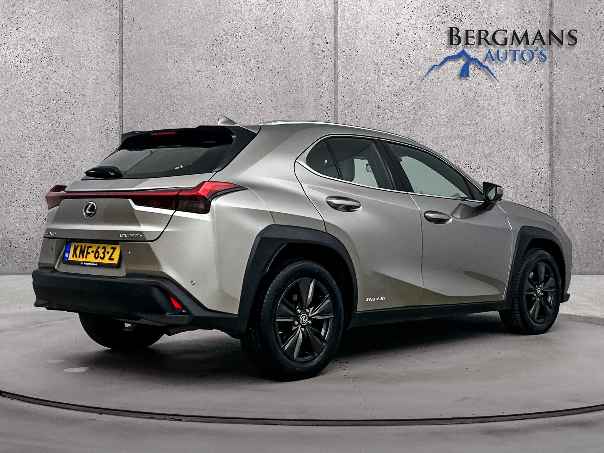 Lexus UX - 250h Luxury Line // DEALERONDERHOUDEN // LEDER //, Gebruikt, 4 cilinders, Leder, Bedrijf