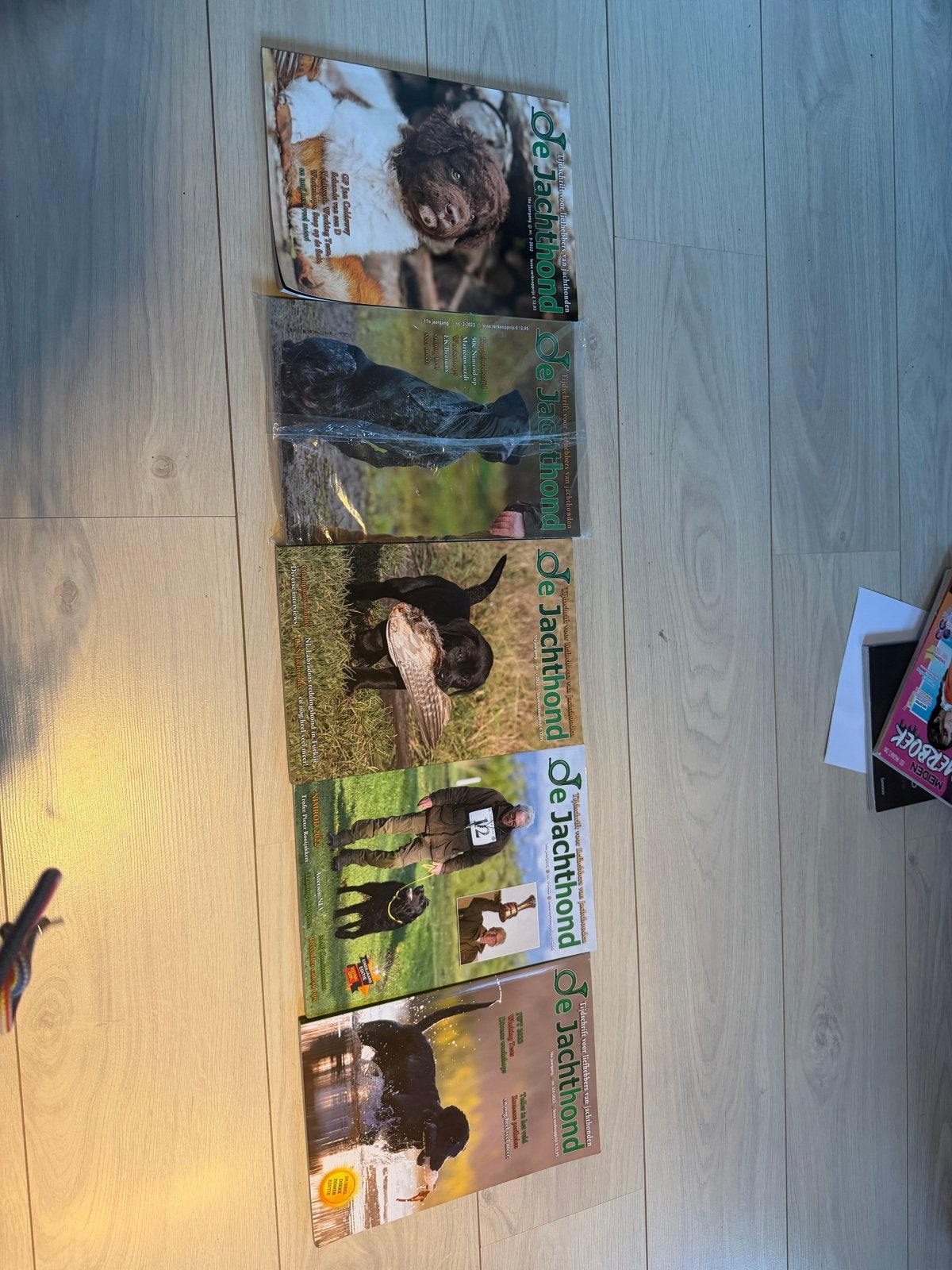 De Jachthond Tijdschriften - Diverse edities, Ophalen of Verzenden, Nieuw, Overige typen