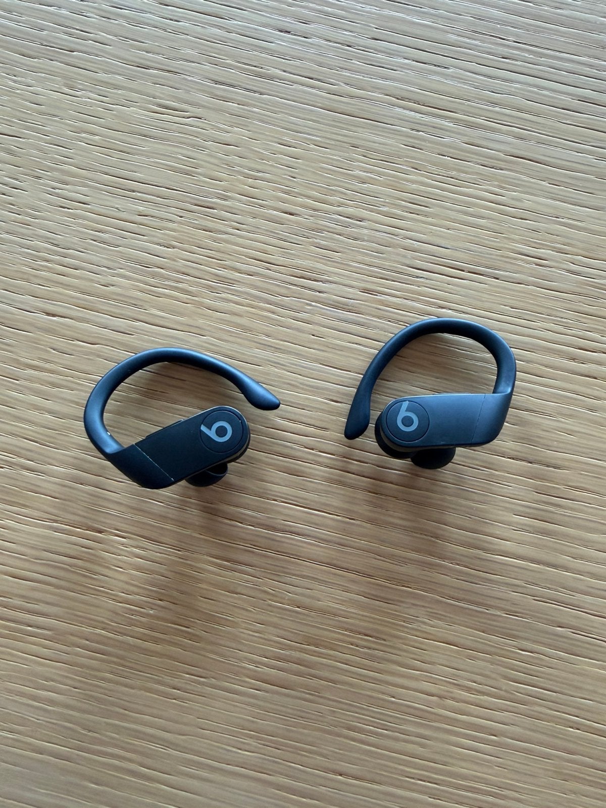 Beats Powerbeats Pro draadloze oordopjes zwart