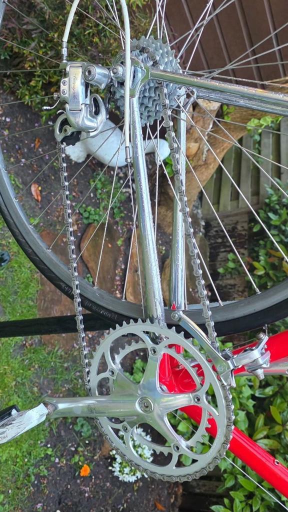 Pinarello asolo vintage racefiets staal campagnolo, Ophalen of Verzenden