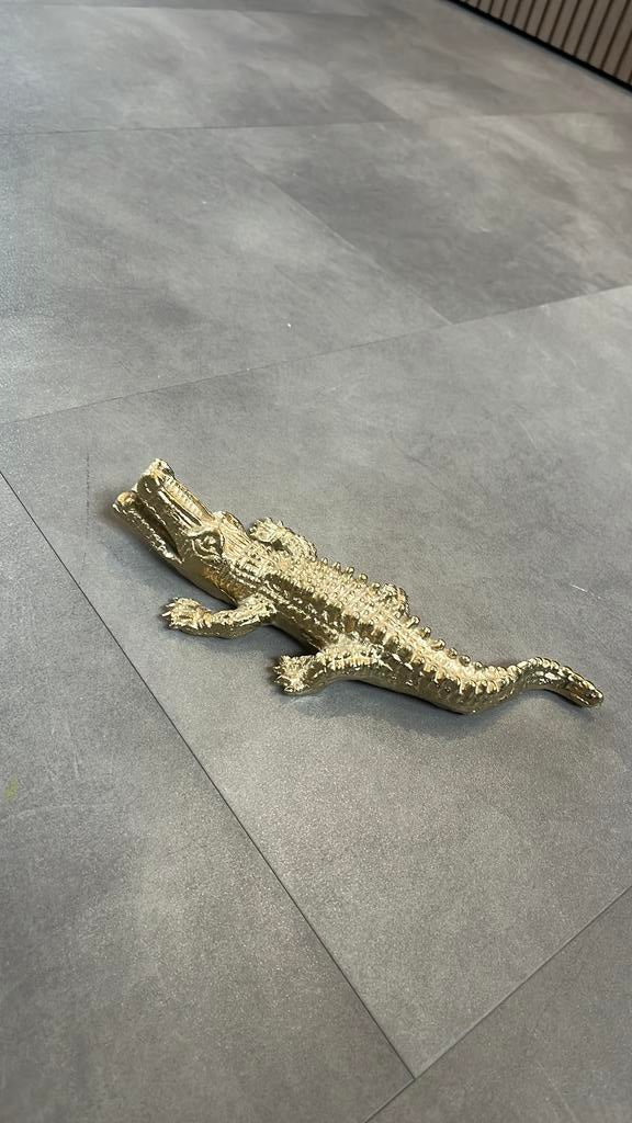 Gouden krokodil beeld – decoratie, Ophalen of Verzenden, ., ., .
