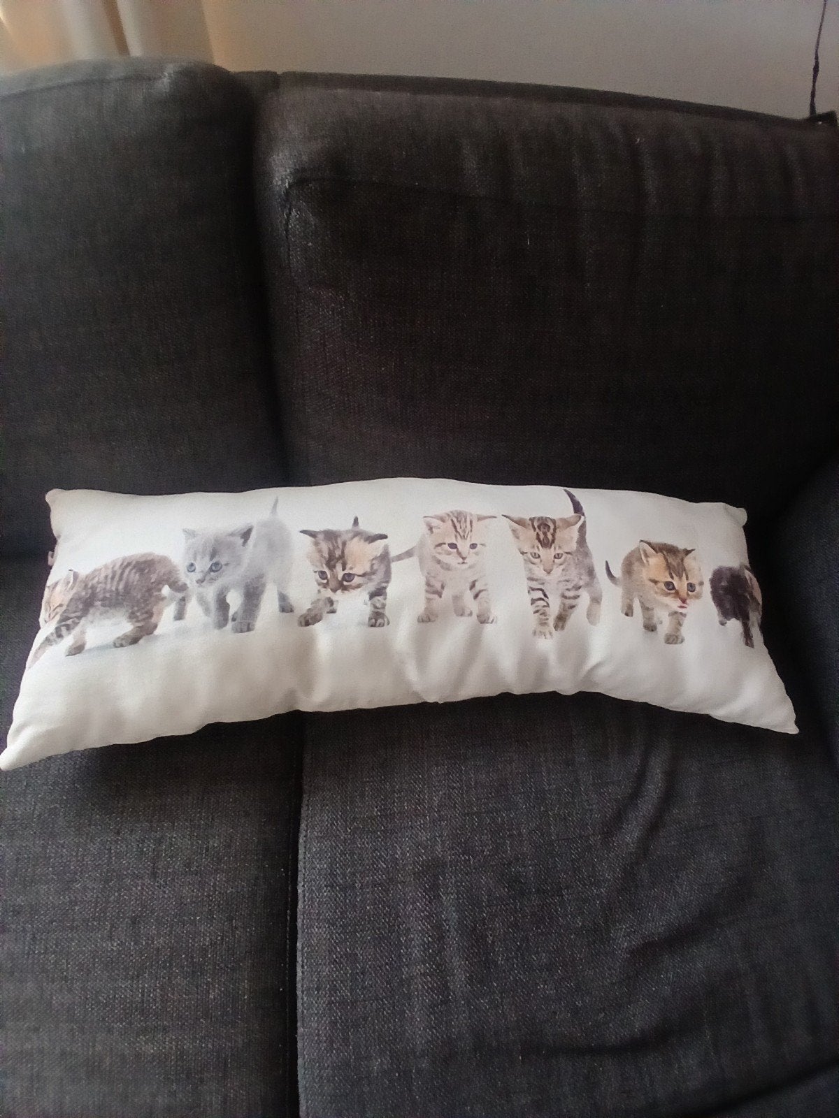 katten kussen, Ophalen, Rugkussen, Wit, Vierkant