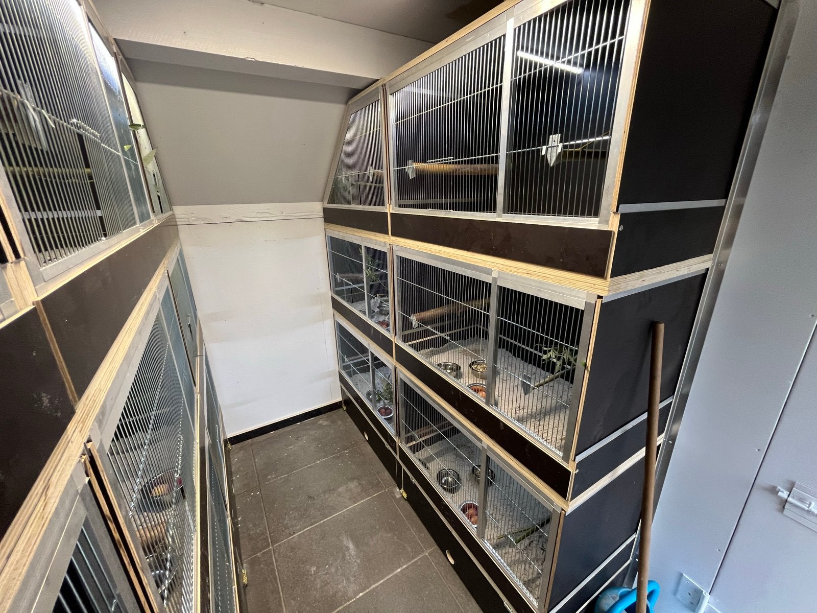 Broedkooien en kweekkooien op maat gemaakt!, 4221LV, Info@vandoorntimmerwerken.com, Ophalen of Verzenden, Van Doorn timmerwerken
