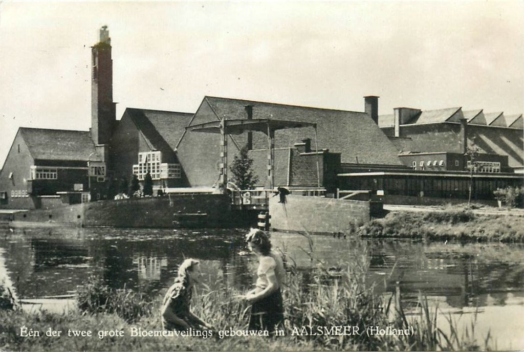 701-355-041 Aalsmeer Bloemenveiling, Verzenden, Voor 1920, Noord-Holland
